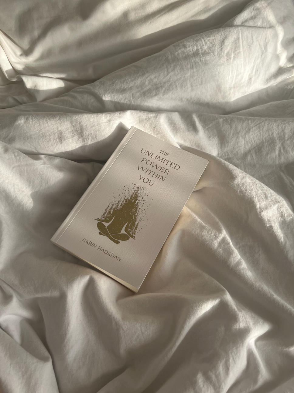 The Unlimited Power Within You - book
