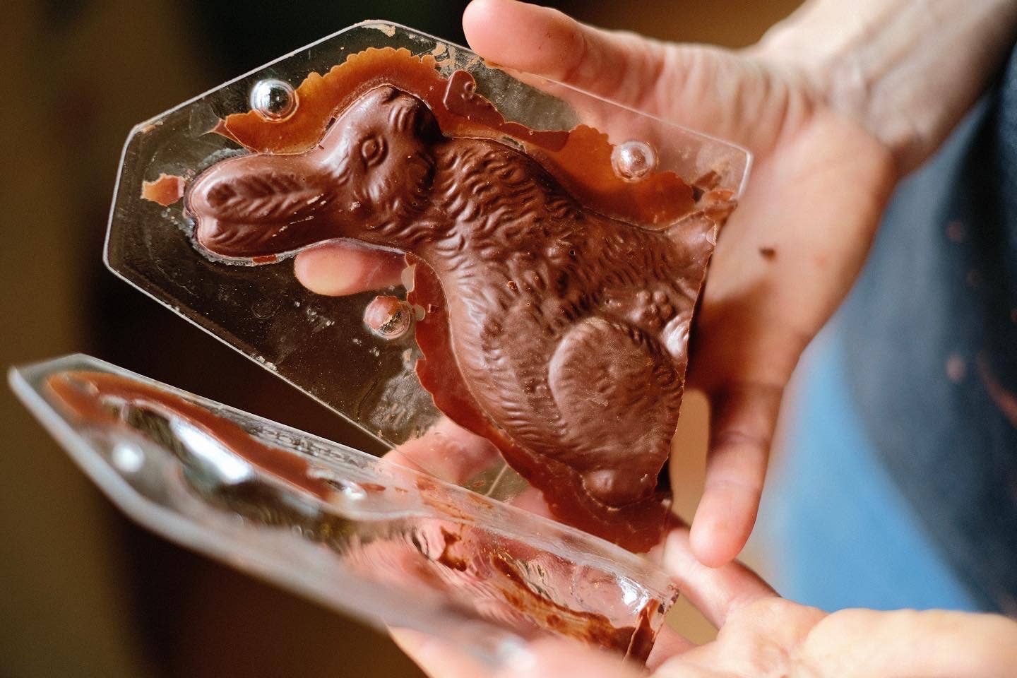 Chocolate Easter Rabbit