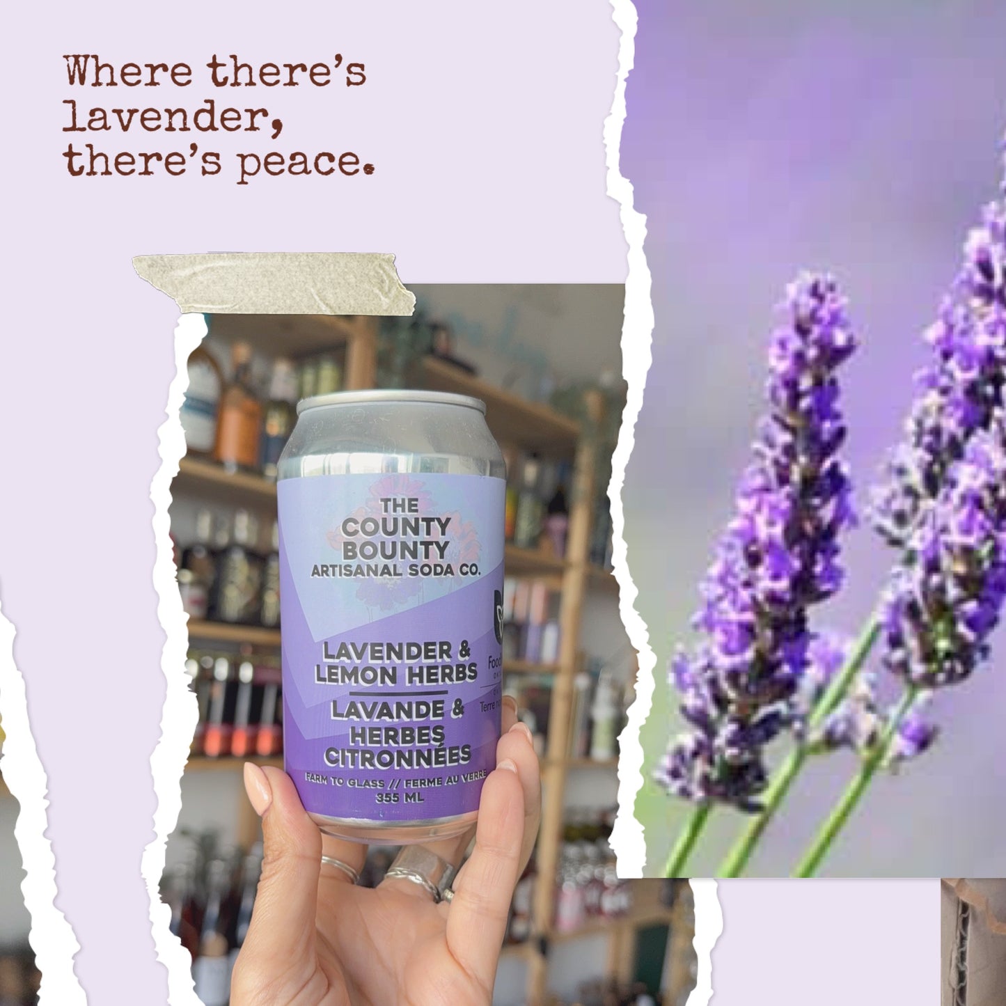 The Lovely Lavender Box