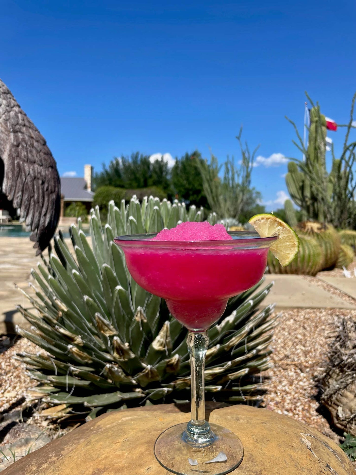 Brushfire Farms: Prickly Pear Simple Syrup