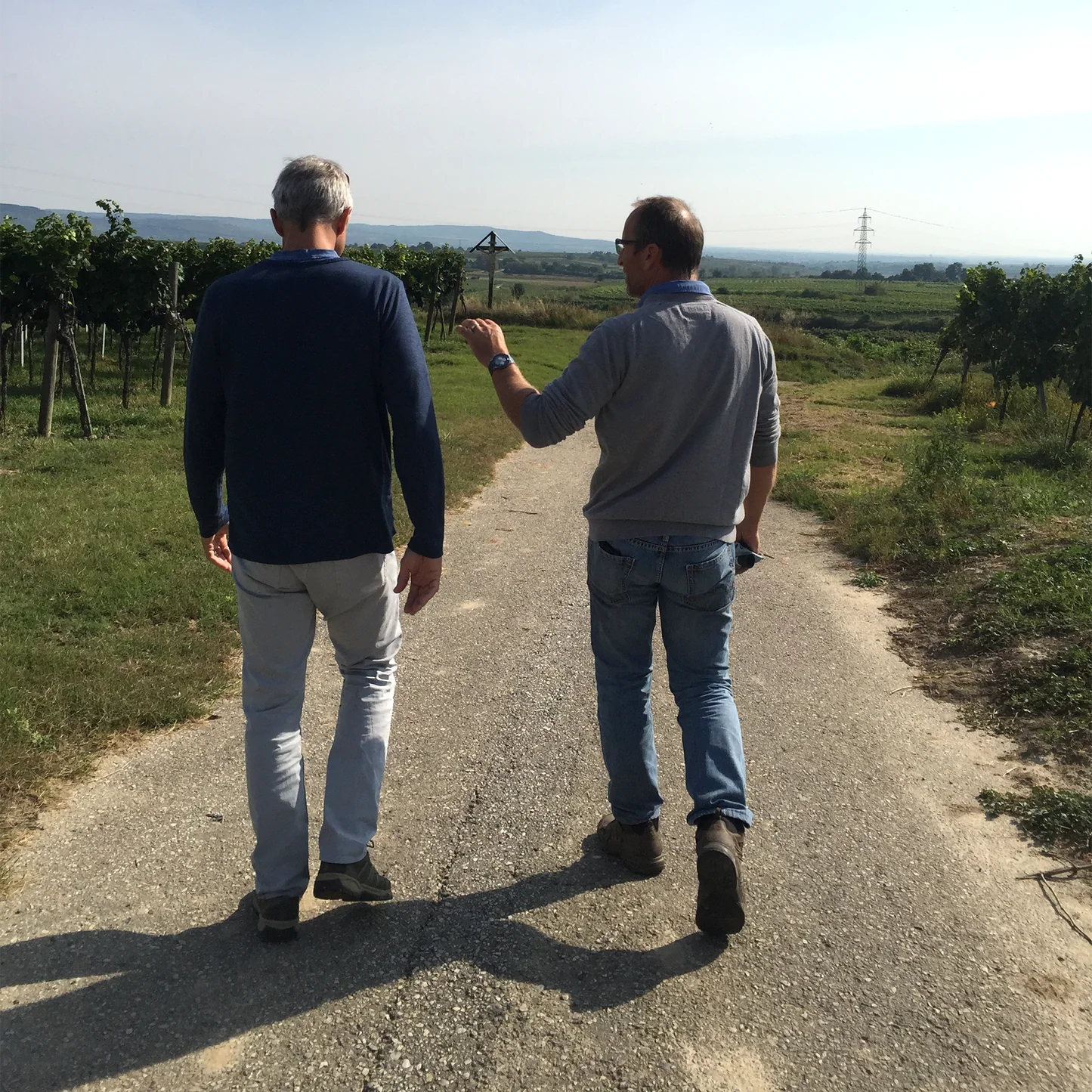 Rabl Kamptal: Verjus Spritz