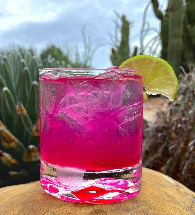 Brushfire Farms: Prickly Pear Simple Syrup