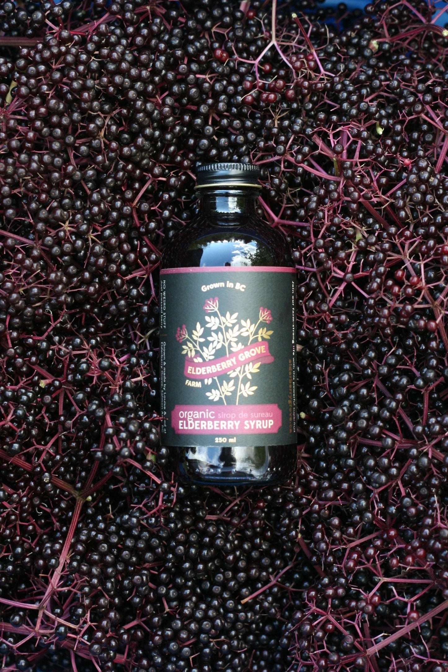Elderberry Grove: Elderberry Syrup