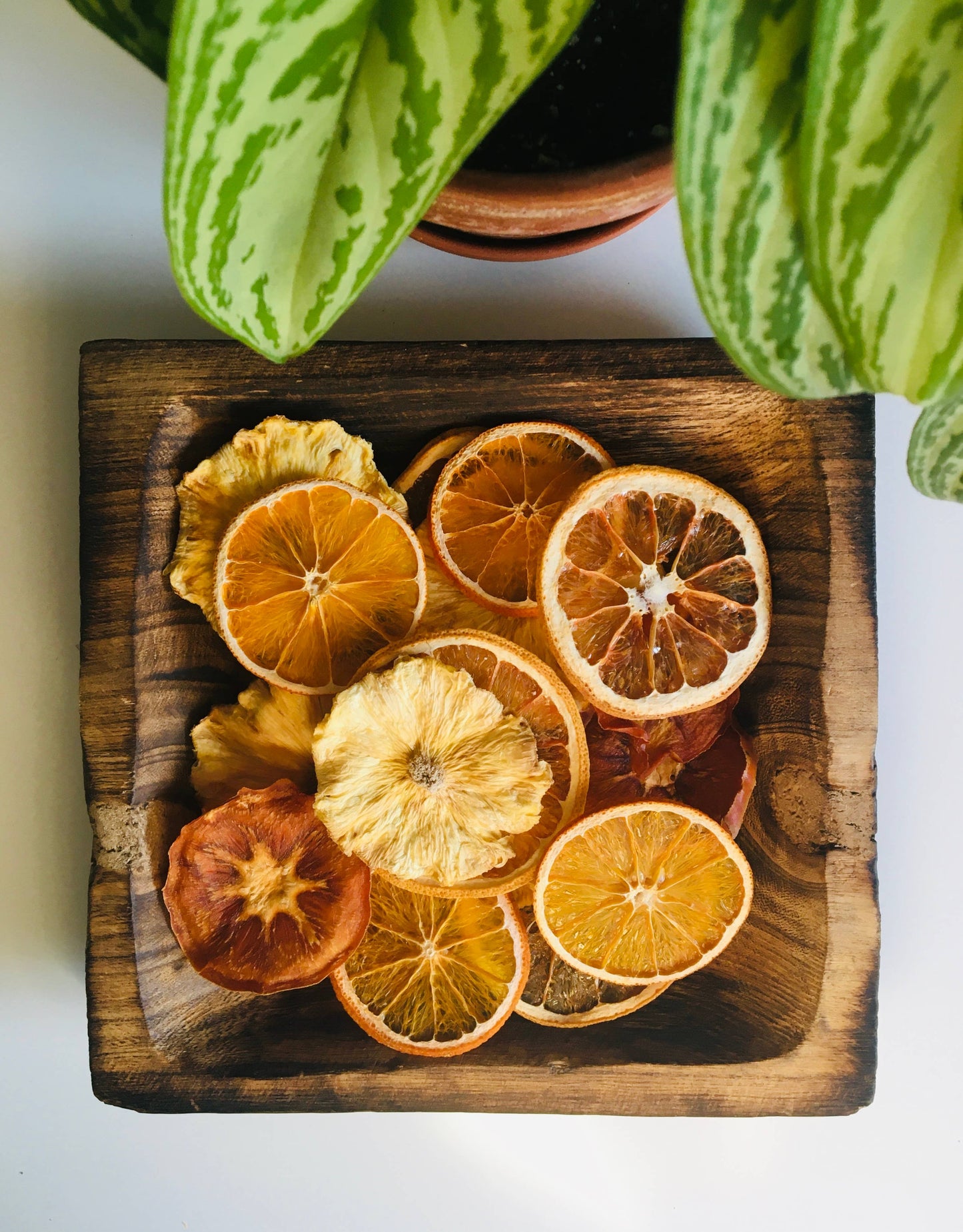 Dried Orange Wheels - organic
