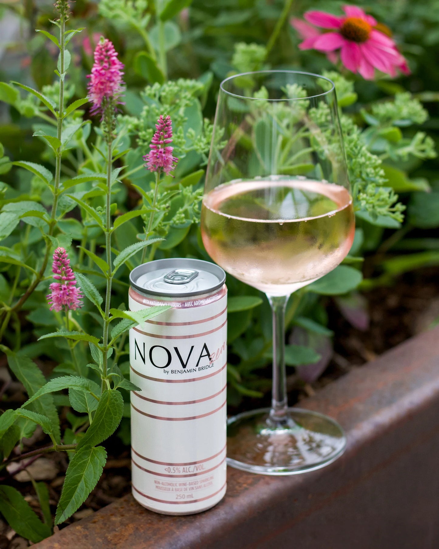 Benjamin Bridge: Nova Zero