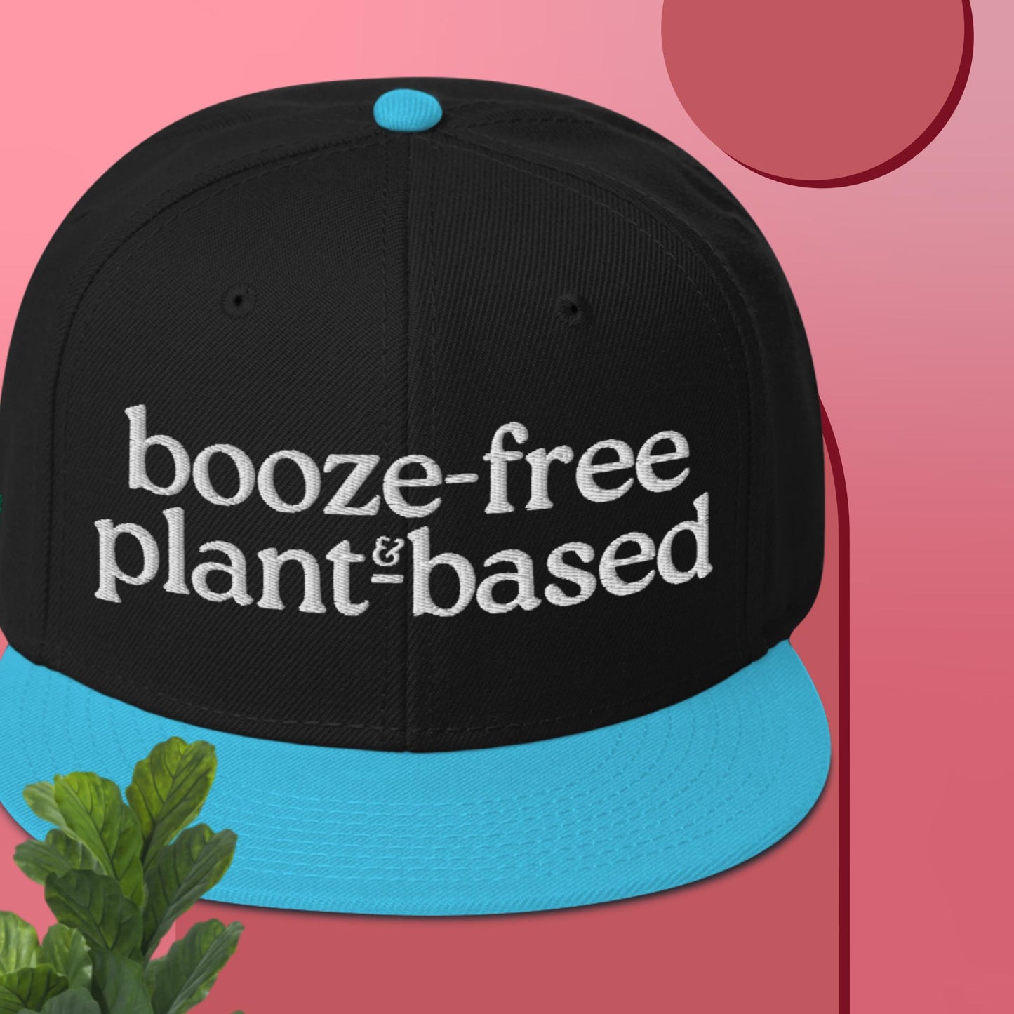 Snapback Hat