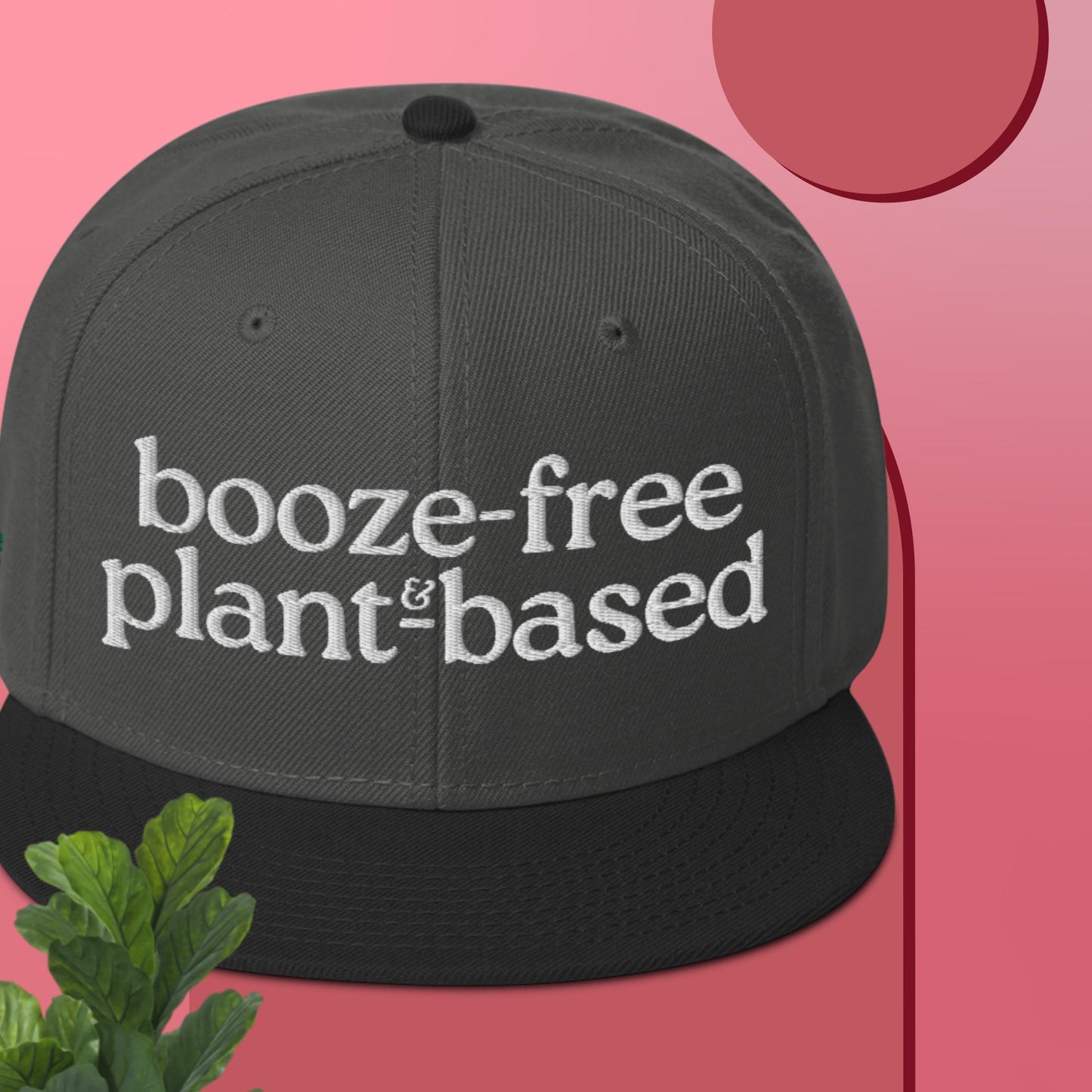 Snapback Hat