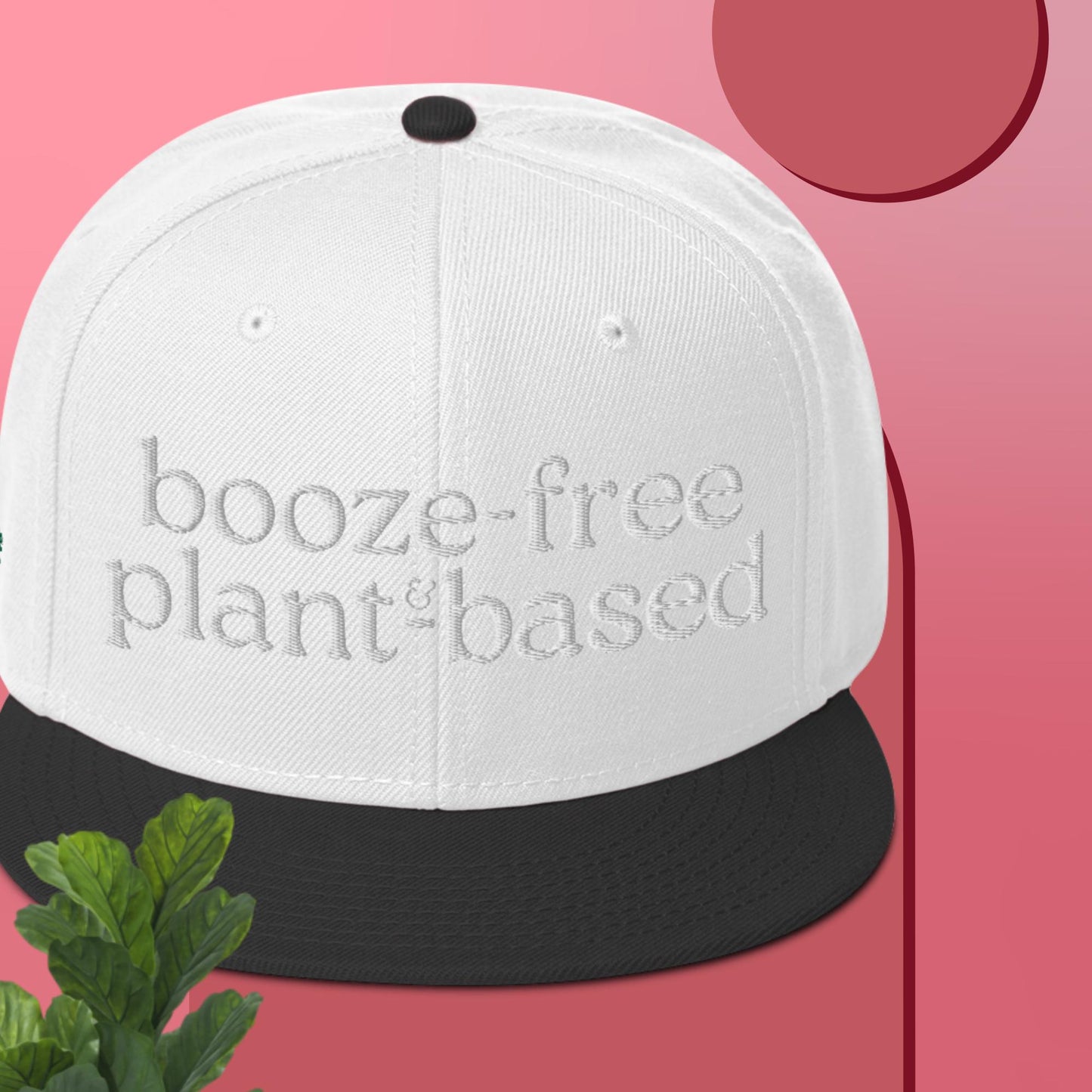 Snapback Hat