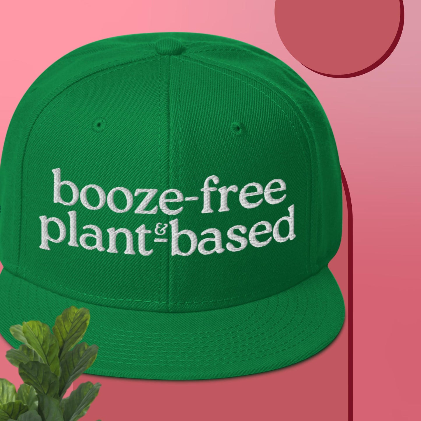 Snapback Hat